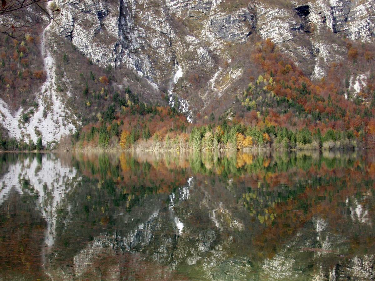Apartment Ravnik Brod 13 Bohinj ภายนอก รูปภาพ