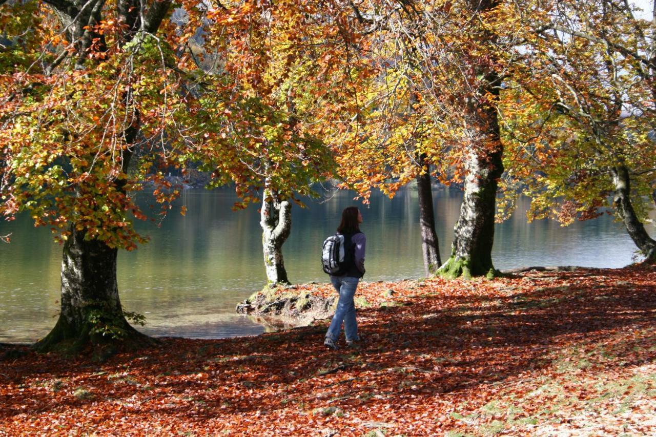 Apartment Ravnik Brod 13 Bohinj ภายนอก รูปภาพ